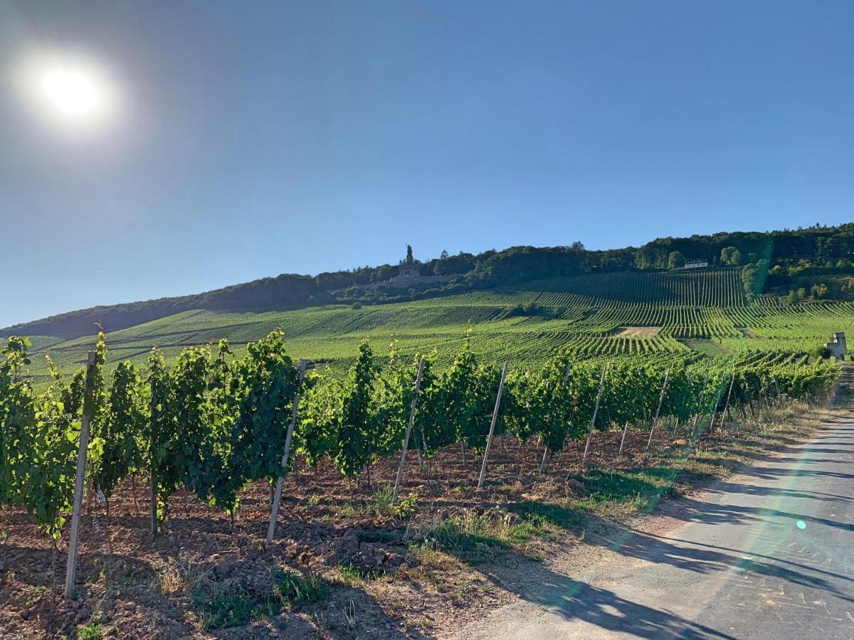 Fewo Zur Goldenen Traube Lägenhet Rüdesheim am Rhein Exteriör bild