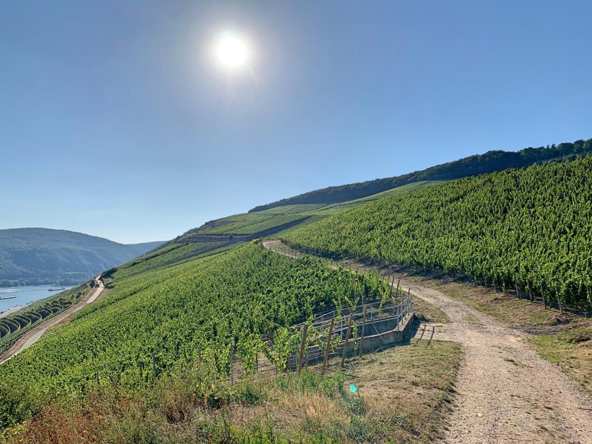 Fewo Zur Goldenen Traube Lägenhet Rüdesheim am Rhein Exteriör bild