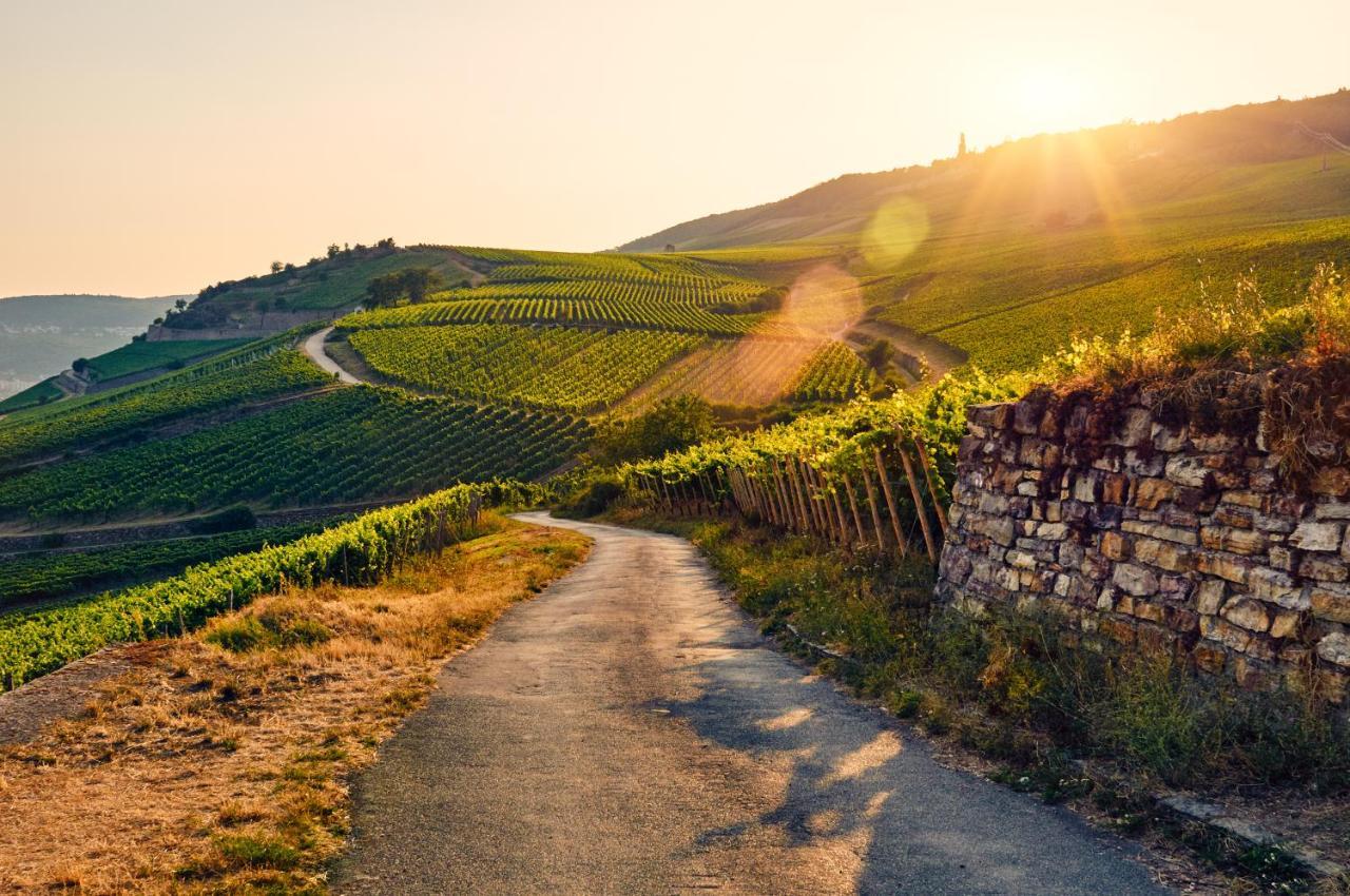 Fewo Zur Goldenen Traube Lägenhet Rüdesheim am Rhein Exteriör bild